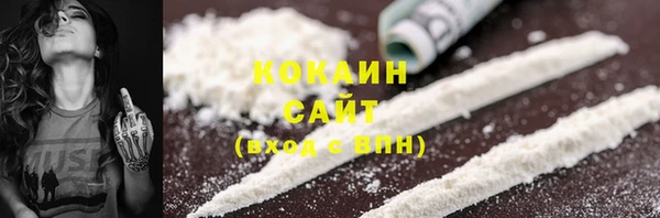 индика Балахна