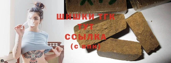 индика Балахна