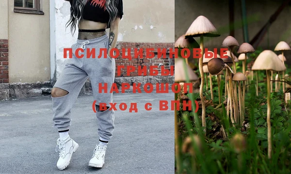 индика Балахна
