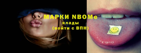 индика Балахна
