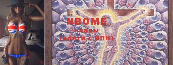 индика Балахна