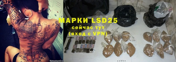 индика Балахна