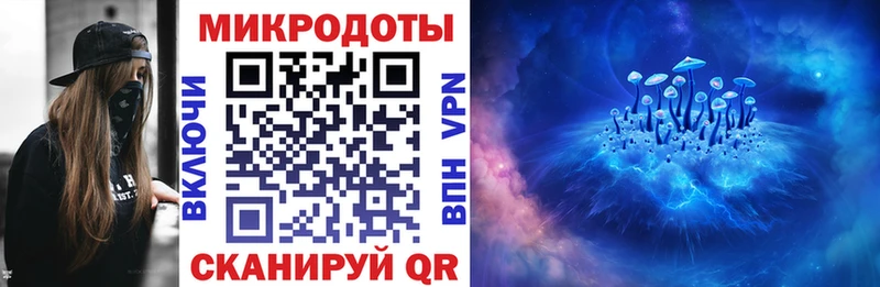 как найти закладки  Большой Камень  Псилоцибиновые грибы GOLDEN TEACHER 